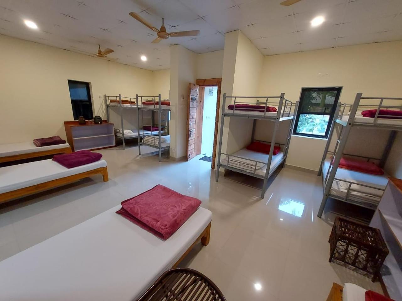 Tadoba Tiger Valley Resort Tadoba Mohurli Dış mekan fotoğraf